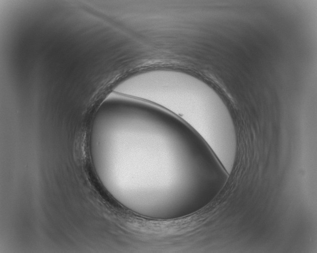 X0000055980023200508190741