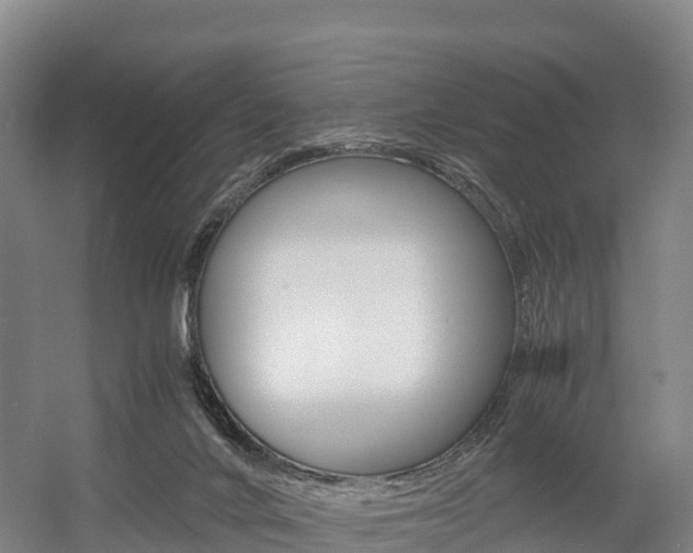 X0000055980024200508190741
