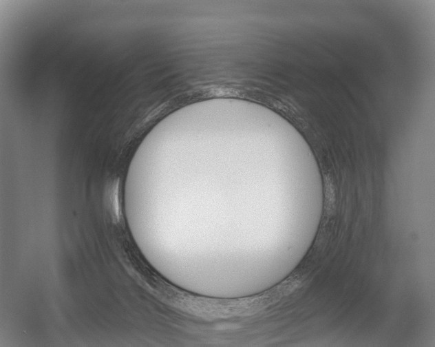 X0000055980028200508190741