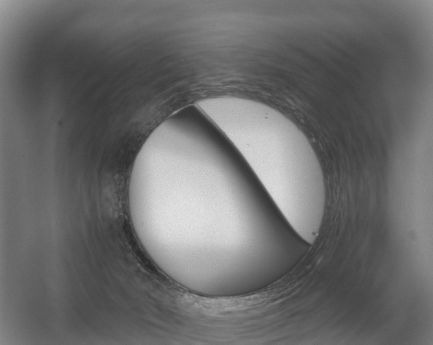 X0000055980030200508190741
