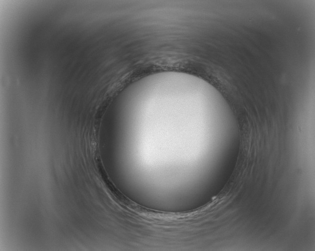 X0000055980040200508190741