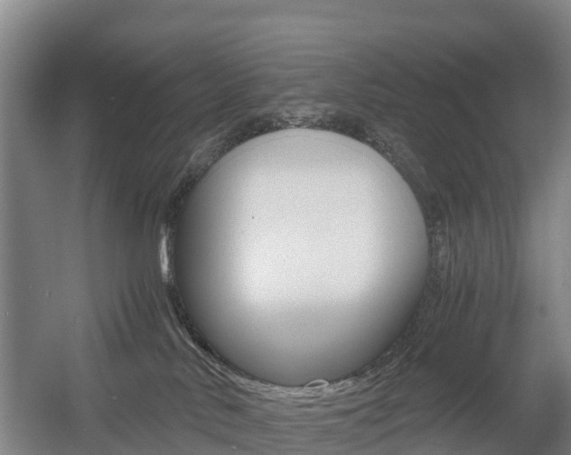X0000055980042200508190741