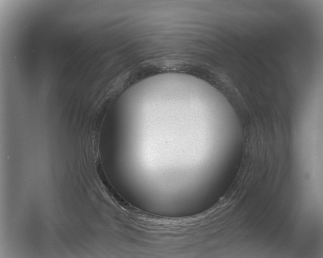 X0000055980044200508190741