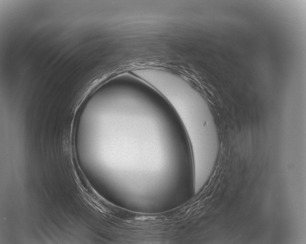 X0000055980052200508190740