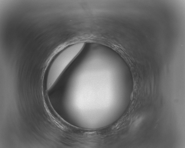X0000055980054200508190740