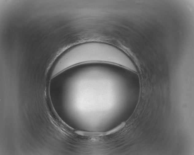 X0000055980060200508190740