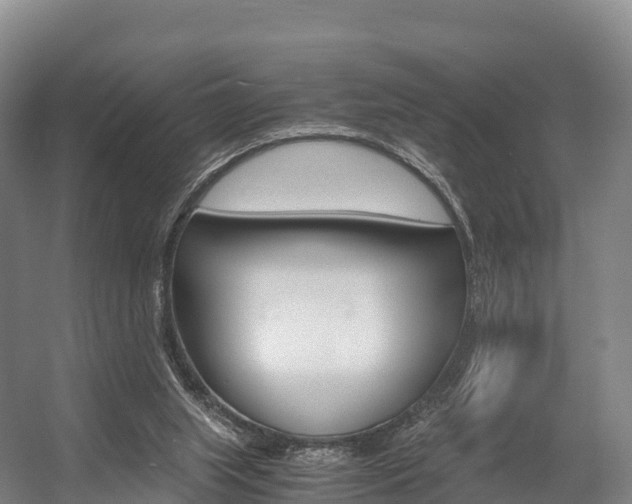X0000055980063200508190740