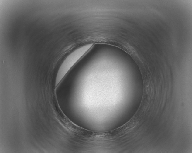 X0000055980072200508190740