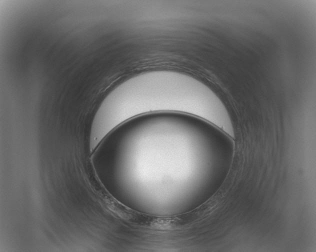 X0000055980076200508190740
