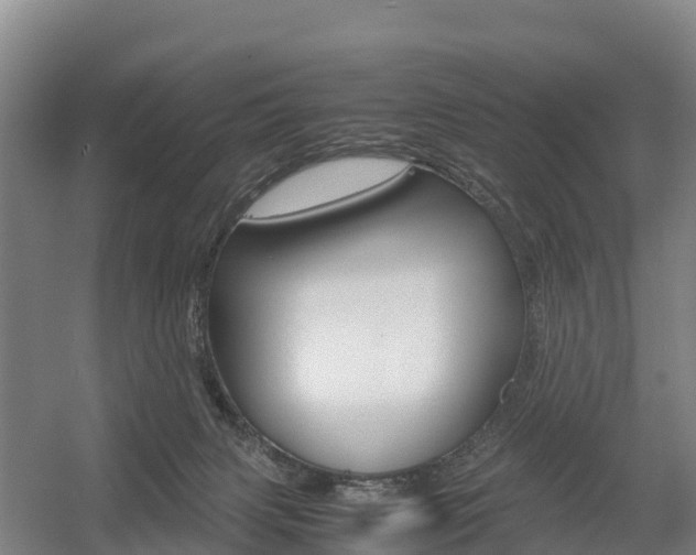 X0000055980079200508190740