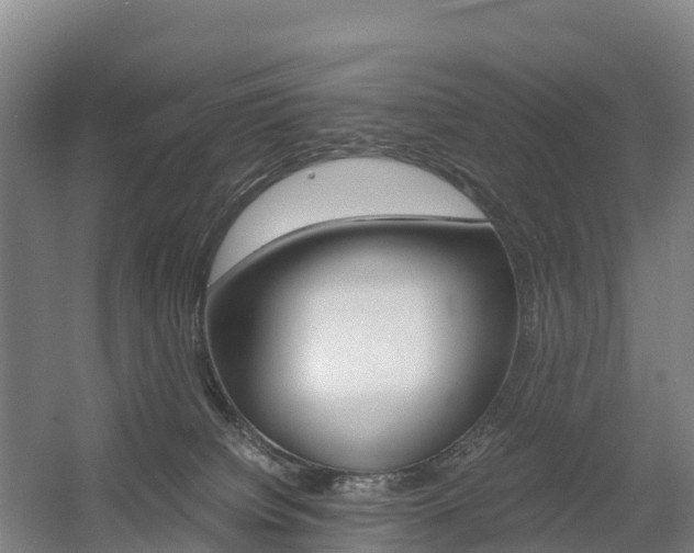 X0000055980084200508190740