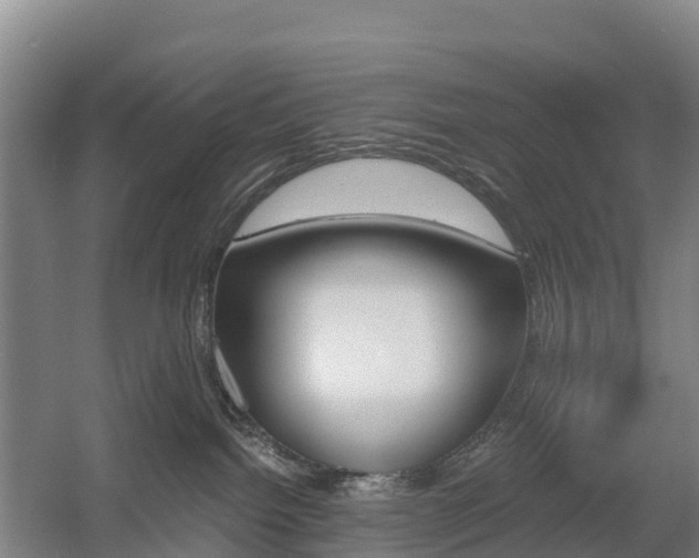 X0000055980092200508190740