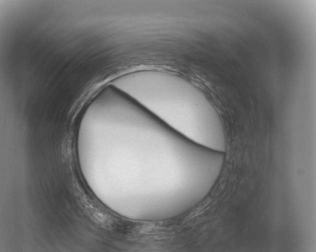 X0000055980098200508190740