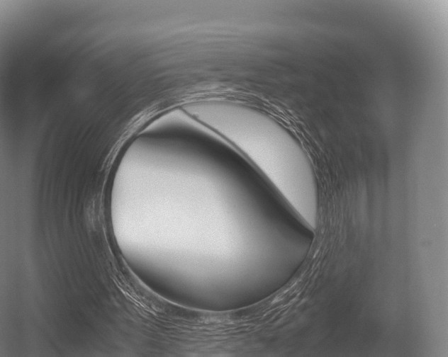 X0000055980099200508190740