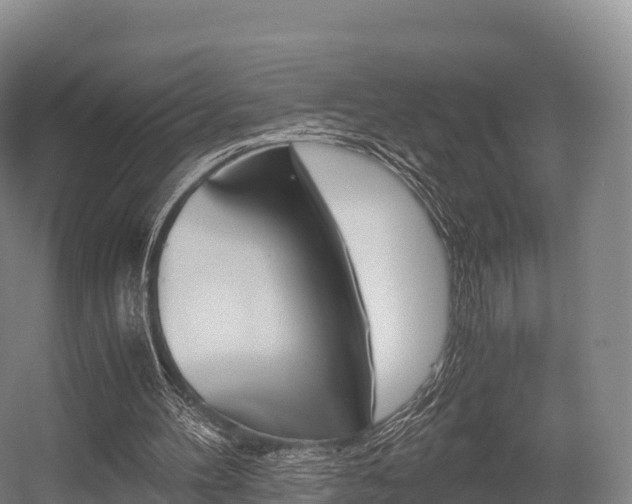 X0000055980100200508190740