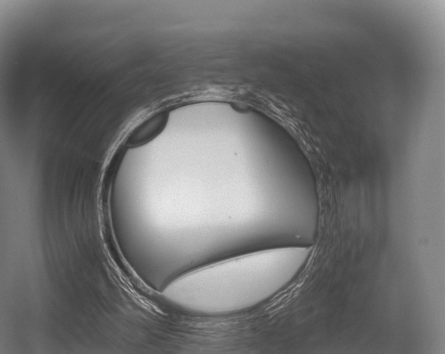 X0000055980102200508190740