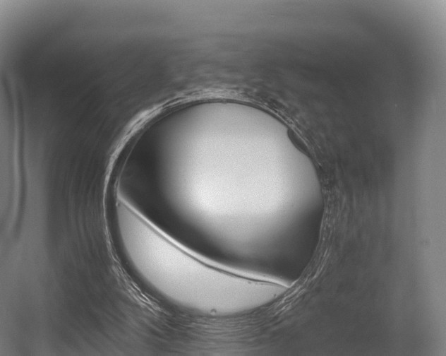X0000055980104200508190740
