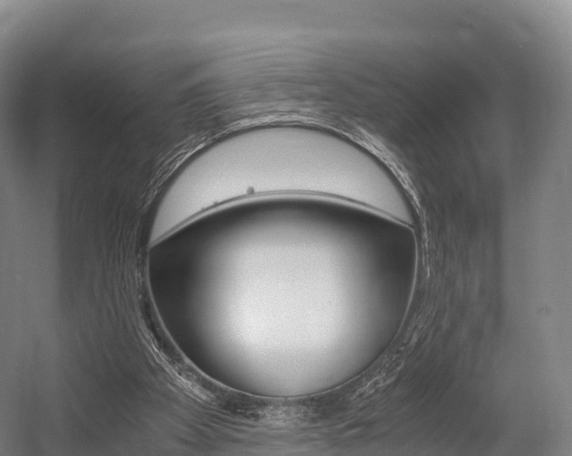 X0000055980105200508190740
