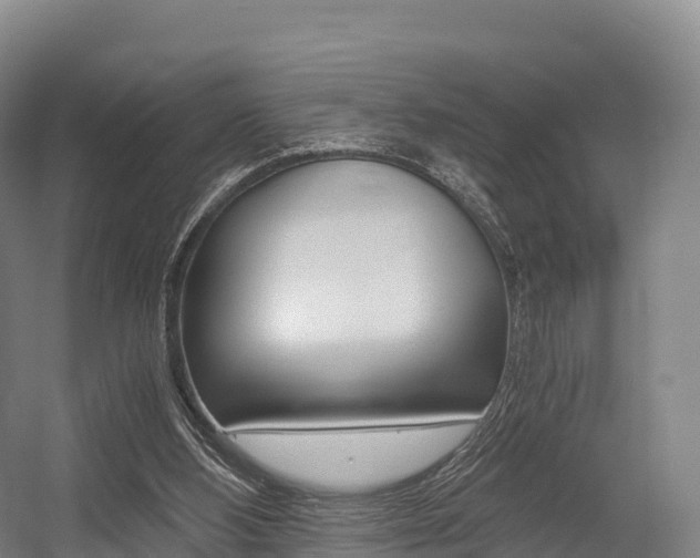 X0000055980108200508190740