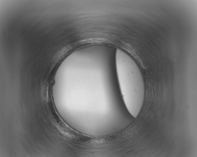 X0000055980110200508190739