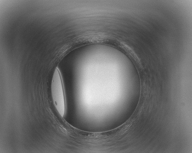 X0000055980113200508190739
