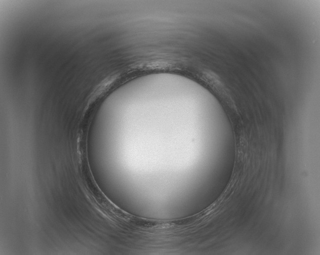 X0000055980116200508190739