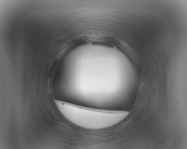 X0000055980121200508190739