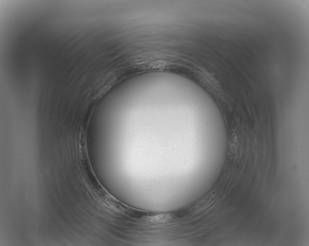 X0000055980122200508190739