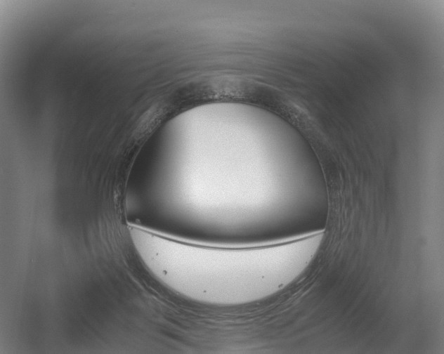 X0000055980123200508190739