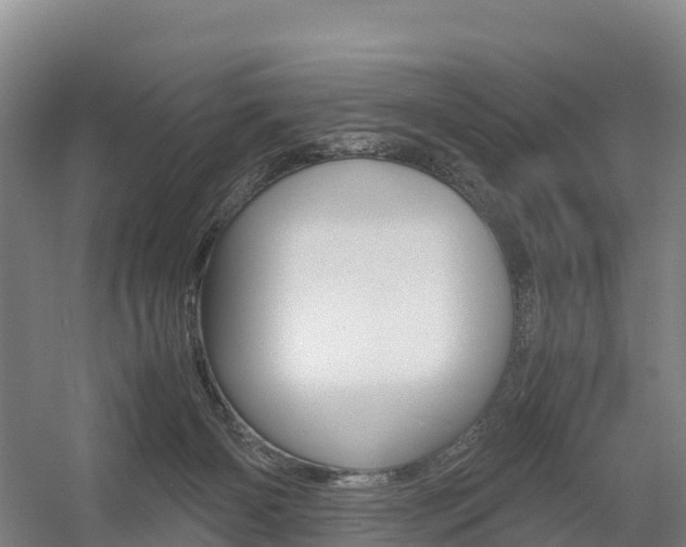 X0000055980126200508190739