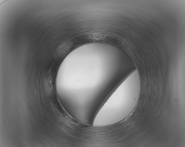 X0000055980128200508190739