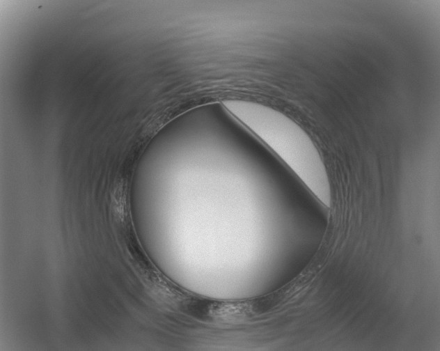 X0000055980129200508190739