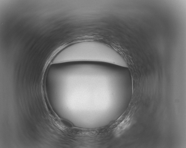 X0000055980147200508190738