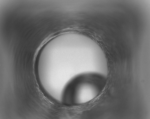 X0000055980150200508190738