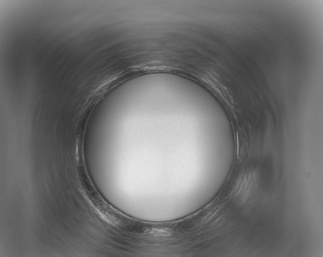 X0000055980157200508190738