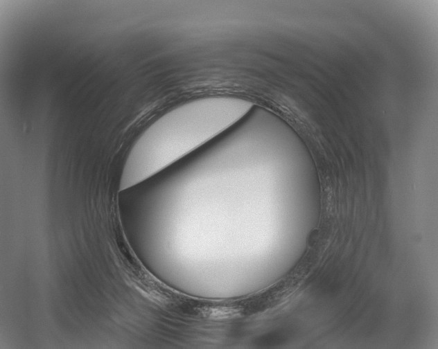 X0000055980165200508190738
