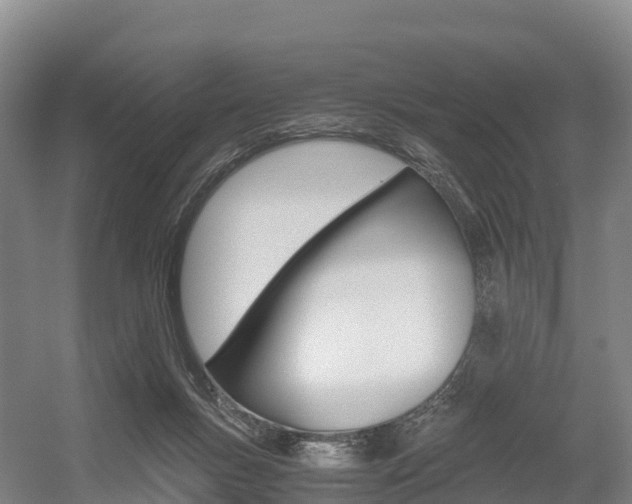 X0000055980167200508190738
