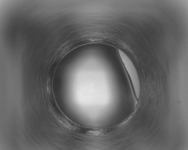 X0000055980170200508190739
