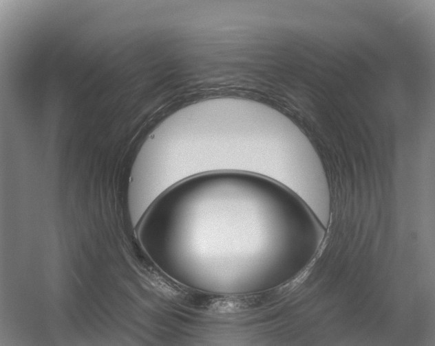 X0000055980174200508190739