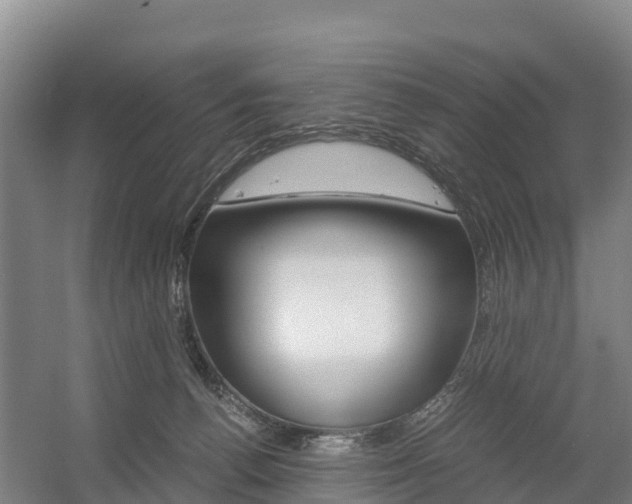 X0000055980176200508190739