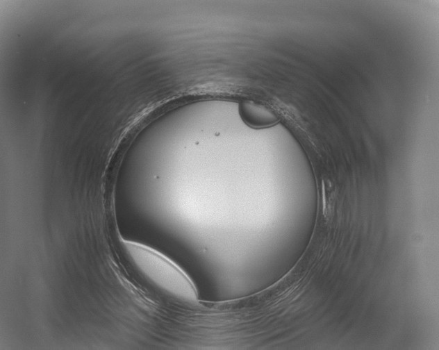 X0000055980204200508190738