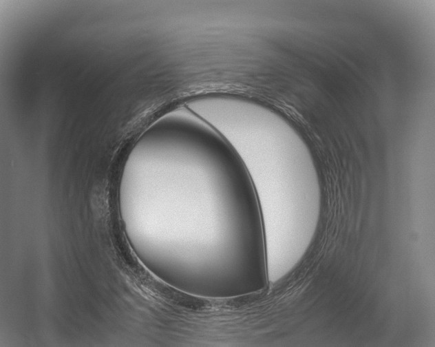 X0000055980207200508190738