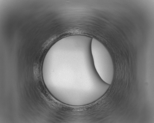 X0000055980208200508190738