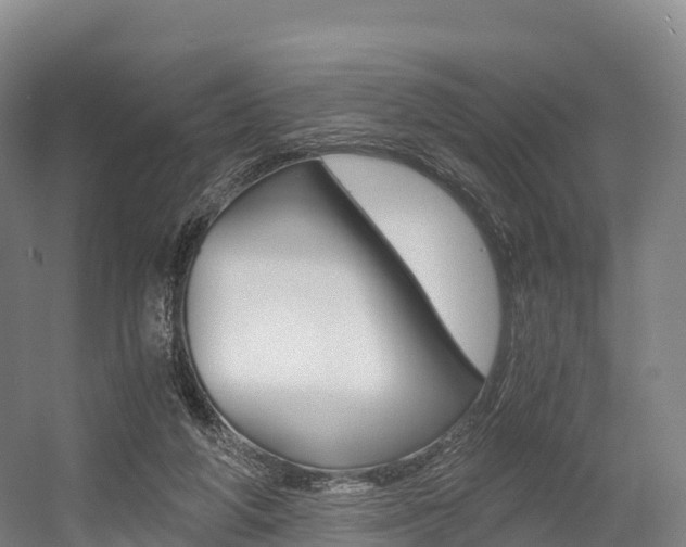 X0000055980210200508190738