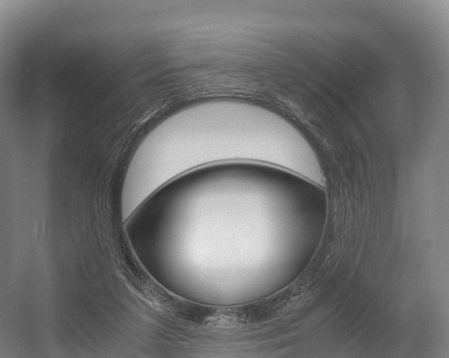 X0000055980211200508190738