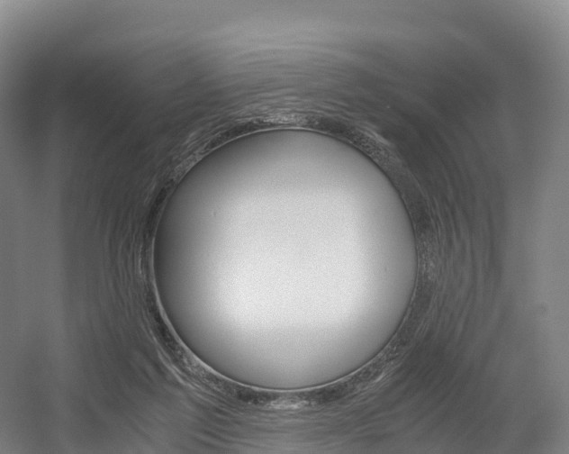 X0000055980213200508190738