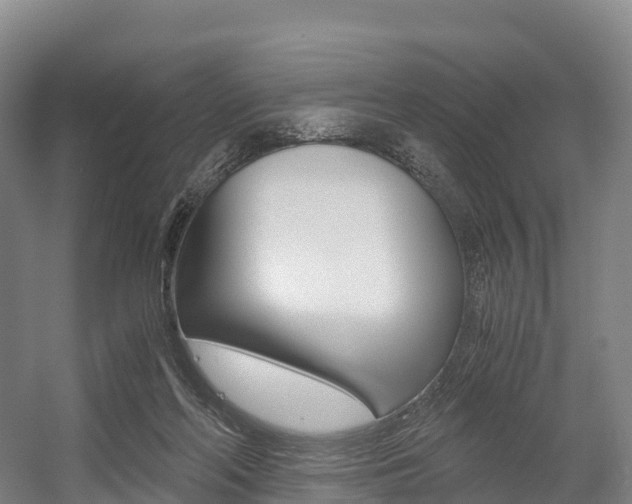 X0000055980214200508190738