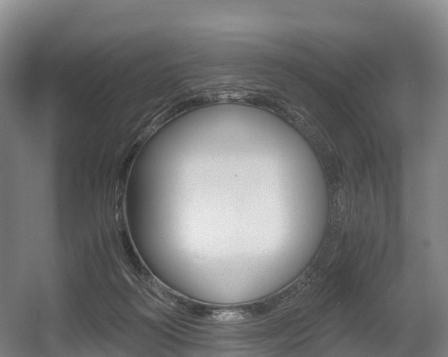 X0000055980218200508190738