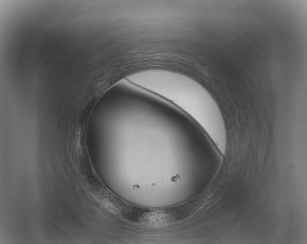 X0000055980219200508190738