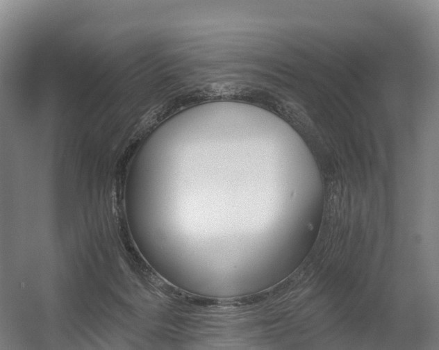 X0000055980220200508190738